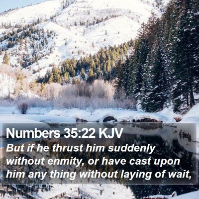 Numbers 35:22 KJV Bible Verse Image