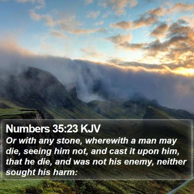 Numbers 35:23 KJV Bible Verse Image