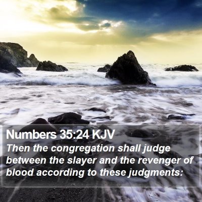 Numbers 35:24 KJV Bible Verse Image