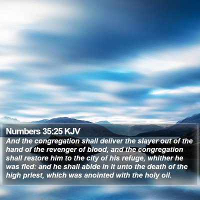 Numbers 35:25 KJV Bible Verse Image