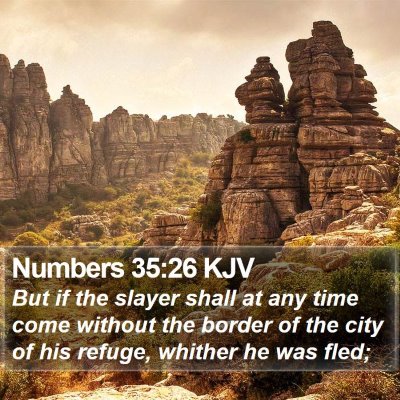 Numbers 35:26 KJV Bible Verse Image