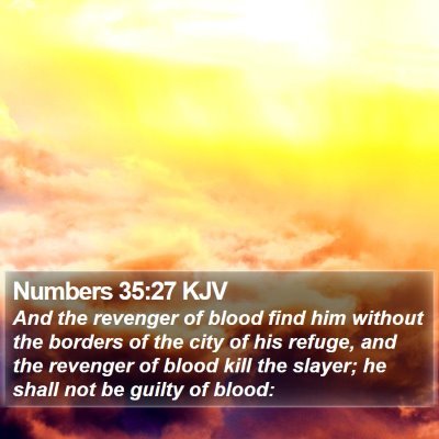 Numbers 35:27 KJV Bible Verse Image
