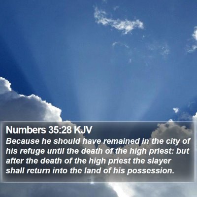 Numbers 35:28 KJV Bible Verse Image