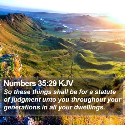 Numbers 35:29 KJV Bible Verse Image
