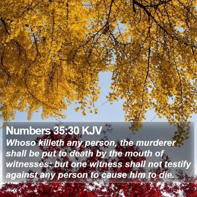 Numbers 35:30 KJV Bible Verse Image