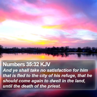 Numbers 35:32 KJV Bible Verse Image