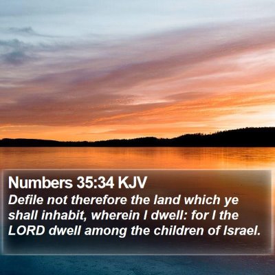 Numbers 35:34 KJV Bible Verse Image