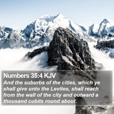Numbers 35:4 KJV Bible Verse Image
