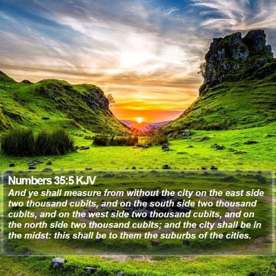 Numbers 35:5 KJV Bible Verse Image