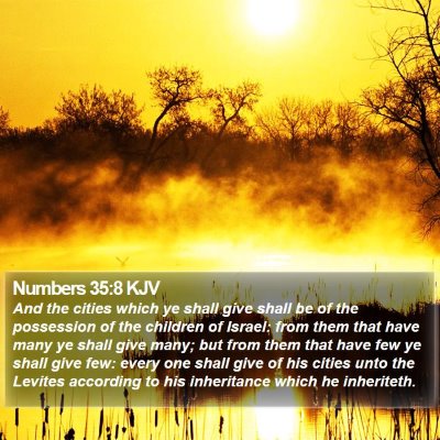 Numbers 35:8 KJV Bible Verse Image