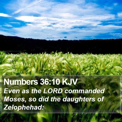 Numbers 36:10 KJV Bible Verse Image