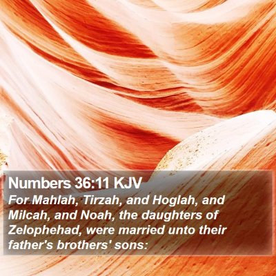 Numbers 36:11 KJV Bible Verse Image