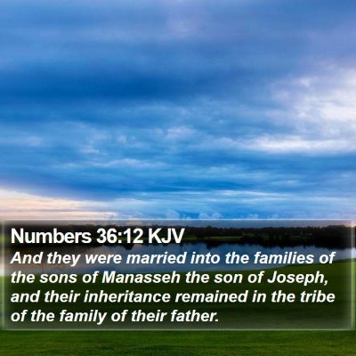 Numbers 36:12 KJV Bible Verse Image