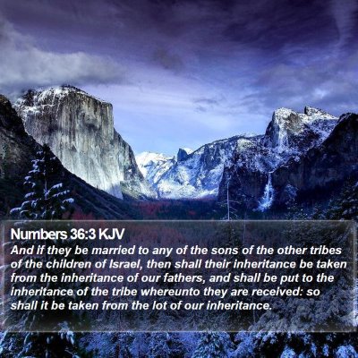 Numbers 36:3 KJV Bible Verse Image