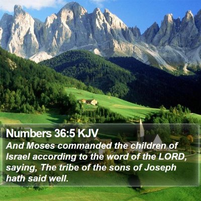 Numbers 36:5 KJV Bible Verse Image