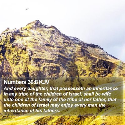 Numbers 36:8 KJV Bible Verse Image