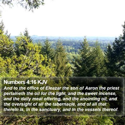 Numbers 4:16 KJV Bible Verse Image