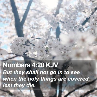 Numbers 4:20 KJV Bible Verse Image
