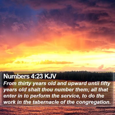 Numbers 4:23 KJV Bible Verse Image