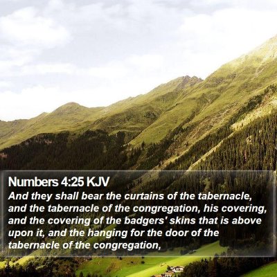 Numbers 4:25 KJV Bible Verse Image