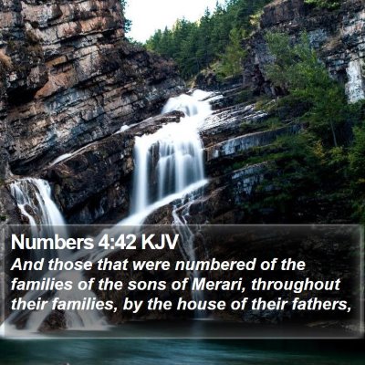 Numbers 4:42 KJV Bible Verse Image