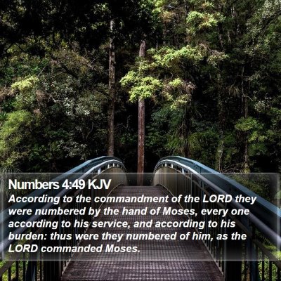 Numbers 4:49 KJV Bible Verse Image