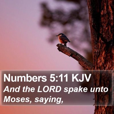 Numbers 5:11 KJV Bible Verse Image