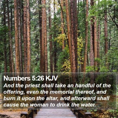 Numbers 5:26 KJV Bible Verse Image