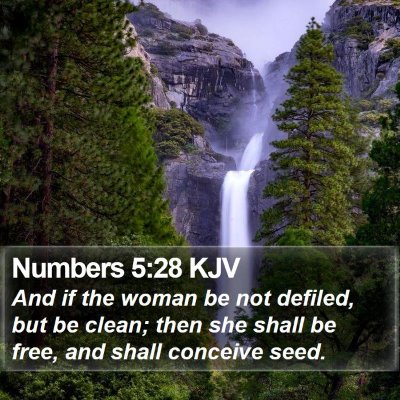 Numbers 5:28 KJV Bible Verse Image