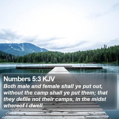 Numbers 5:3 KJV Bible Verse Image