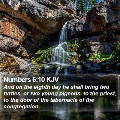 Numbers 6:10 KJV Bible Verse Image