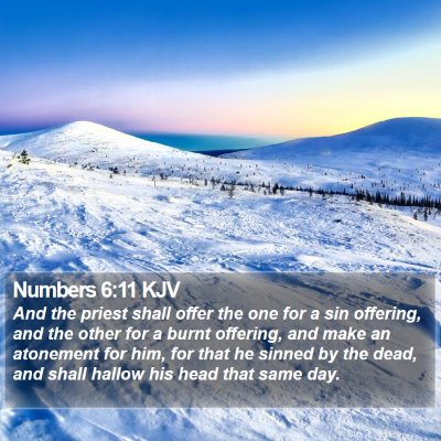 Numbers 6:11 KJV Bible Verse Image