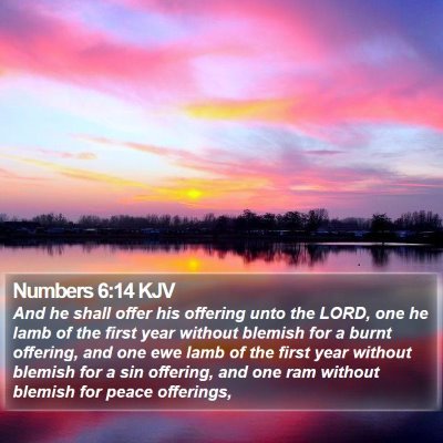 Numbers 6:14 KJV Bible Verse Image