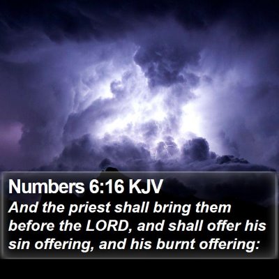 Numbers 6:16 KJV Bible Verse Image