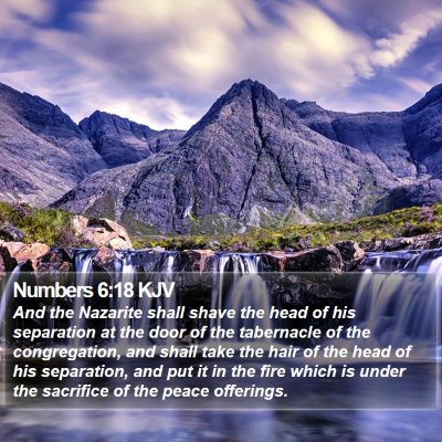 Numbers 6:18 KJV Bible Verse Image