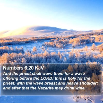 Numbers 6:20 KJV Bible Verse Image