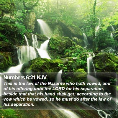 Numbers 6:21 KJV Bible Verse Image