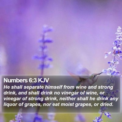 Numbers 6:3 KJV Bible Verse Image