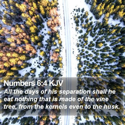Numbers 6:4 KJV Bible Verse Image