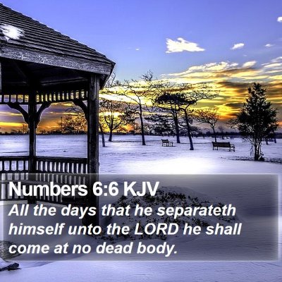 Numbers 6:6 KJV Bible Verse Image