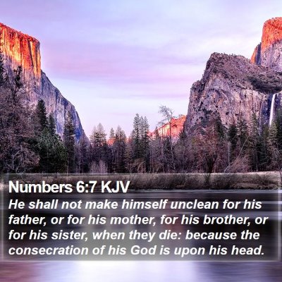 Numbers 6:7 KJV Bible Verse Image