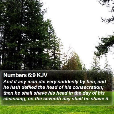 Numbers 6:9 KJV Bible Verse Image
