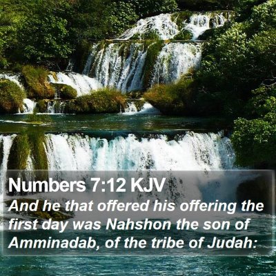 Numbers 7:12 KJV Bible Verse Image
