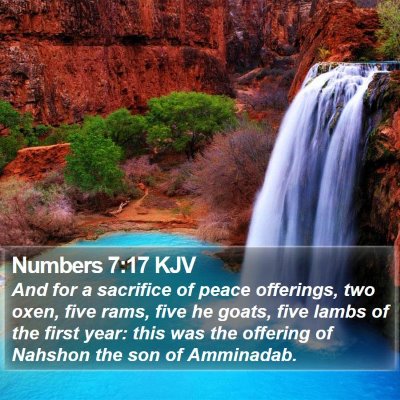 Numbers 7:17 KJV Bible Verse Image
