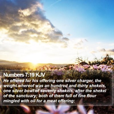 Numbers 7:19 KJV Bible Verse Image