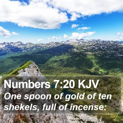 Numbers 7:20 KJV Bible Verse Image
