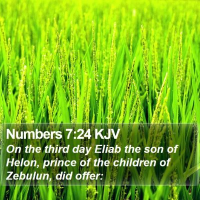 Numbers 7:24 KJV Bible Verse Image