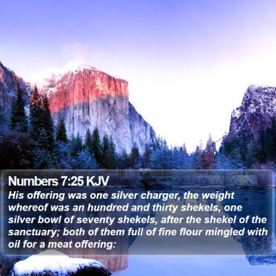 Numbers 7:25 KJV Bible Verse Image