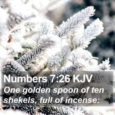 Numbers 7:26 KJV Bible Verse Image