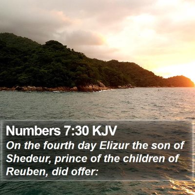 Numbers 7:30 KJV Bible Verse Image